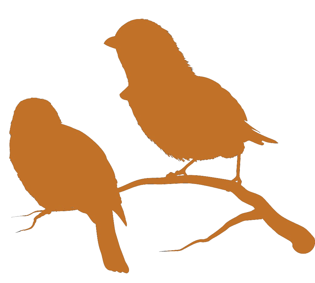 Orange Illustration zweier Amseln als Logo für Dr. Thomas Vogl Beratung & Training